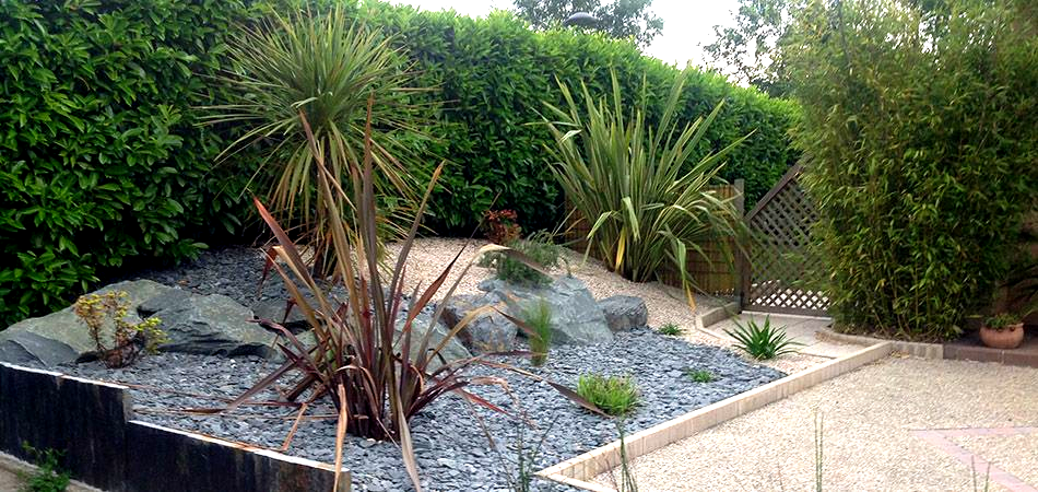 Un parterre de jardin est composé de gravier d'ardoise foncée, de plantes piquantes, de gros rochers gris et d'une haie en arrière-plan, le tout bordé de pierres.