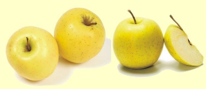 ...et Golden du Valais et de Vaud