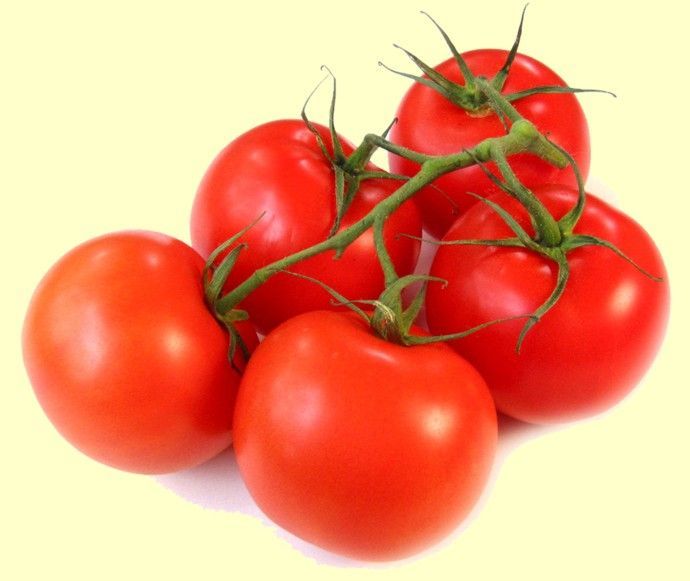 Les tomates pour la salade ou la purée