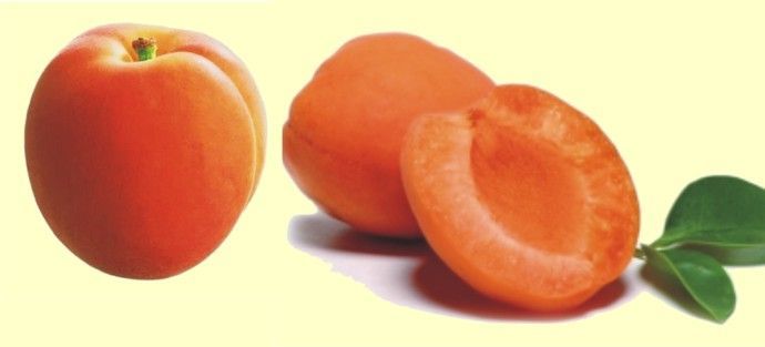 Les abricots du Valais