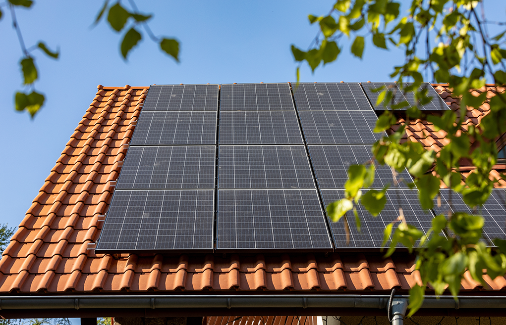 Des pannaux solaires sur un toit d'une maison avec des branches d'un arbre sur le côté