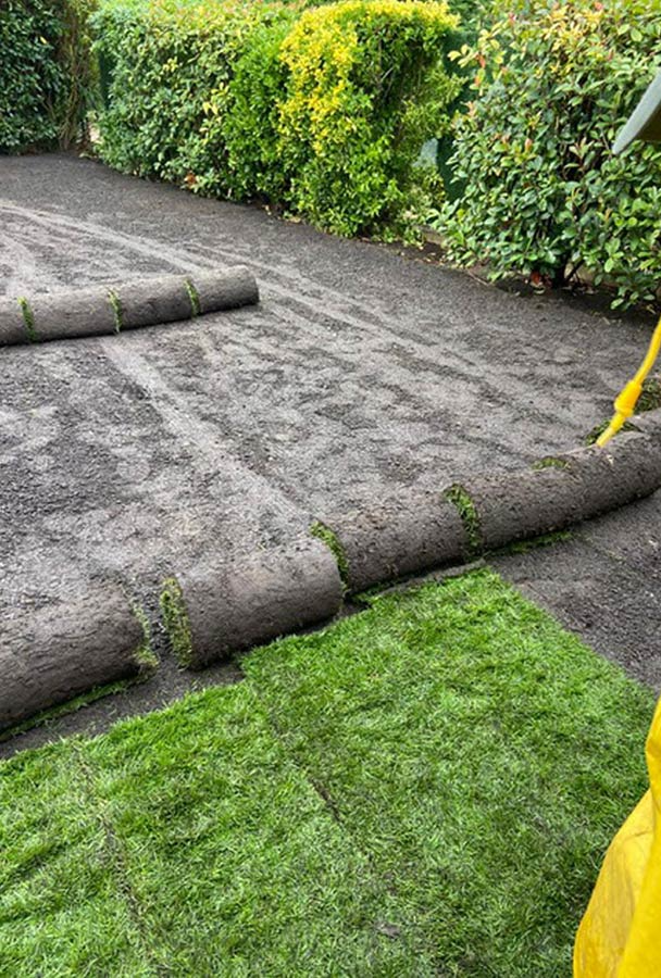 Déroulage de gazon dans un jardin