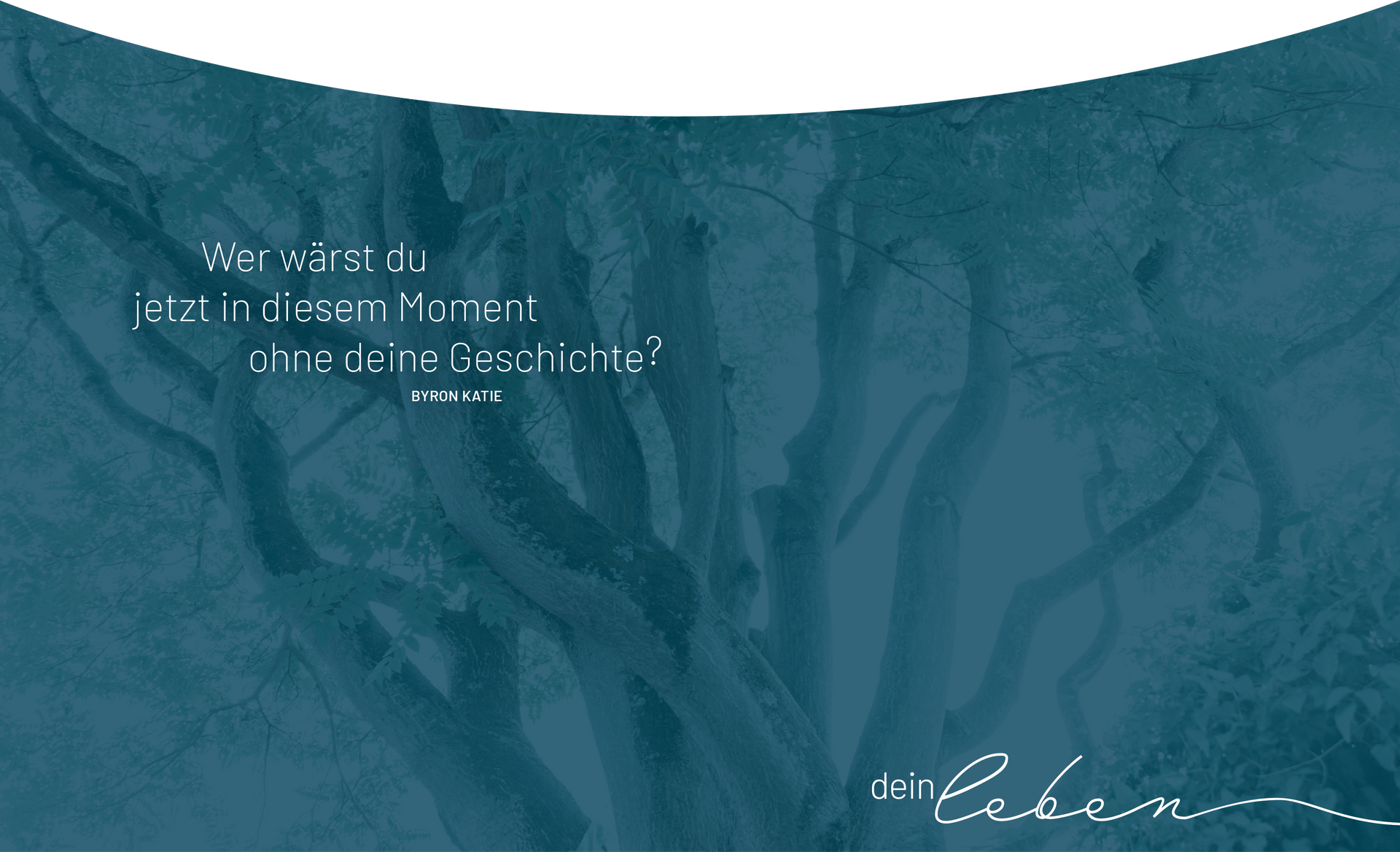 Yvonne Erber - lebenswegzeiten