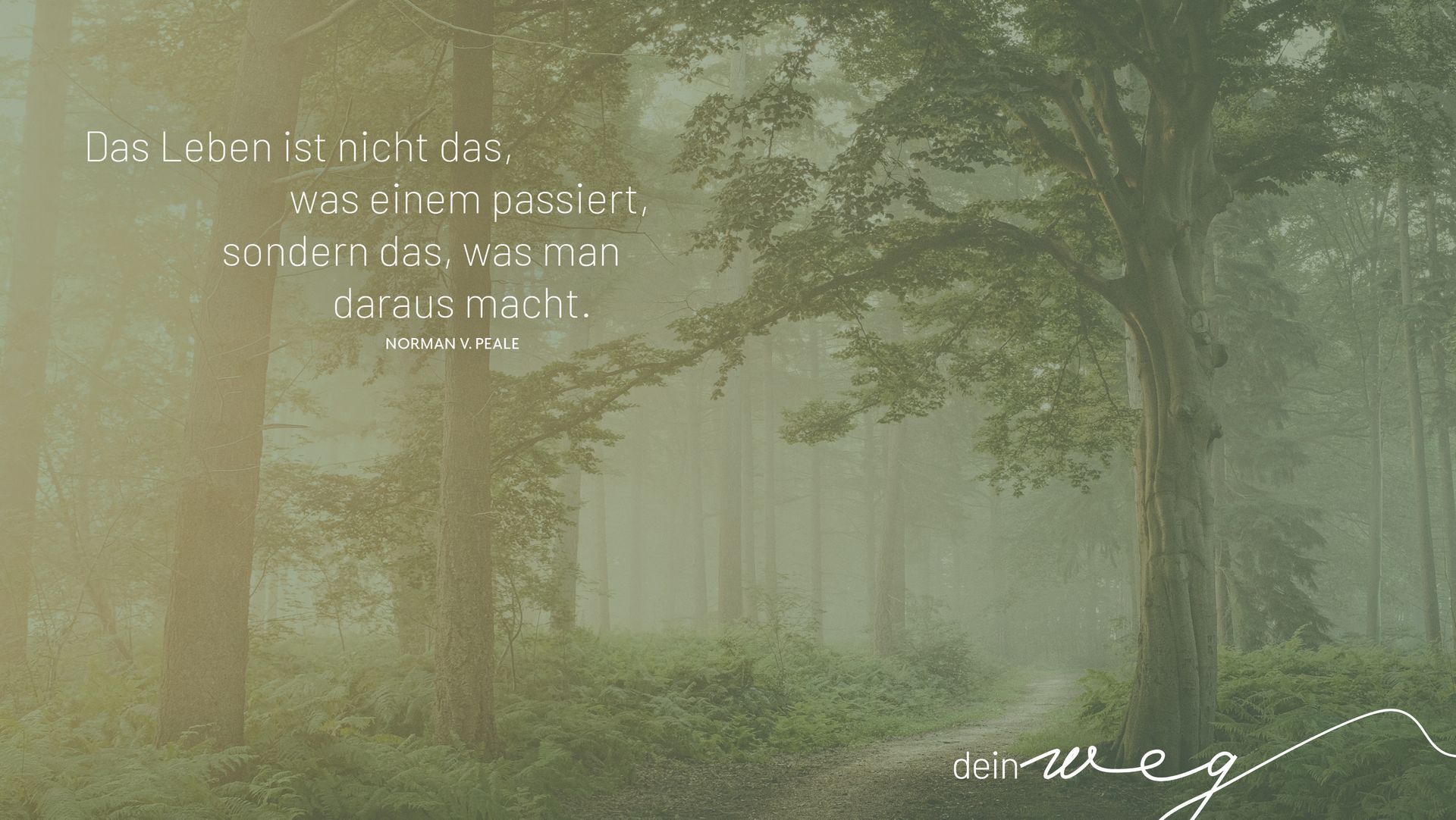 Yvonne Erber - lebenswegzeiten