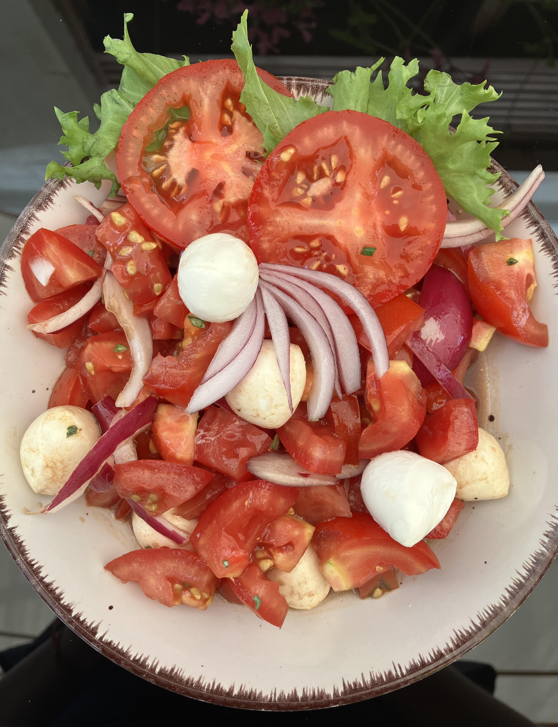 Ein Salat mit Tomaten, Zwiebeln und Mozzarella auf einem Teller