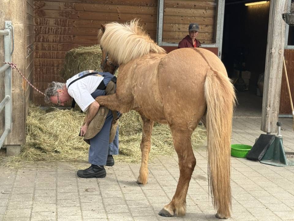 Ein Mann beschneidet drinnen den Huf eines Pferdes; das Pferd trägt eine Decke. Der Mann kniet und lächelt.