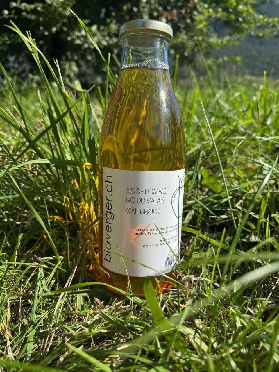 Bouteille de boisson liquide dans l'herbe verte, avec une étiquette blanche, en extérieur.