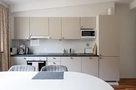  Apartment kitchen