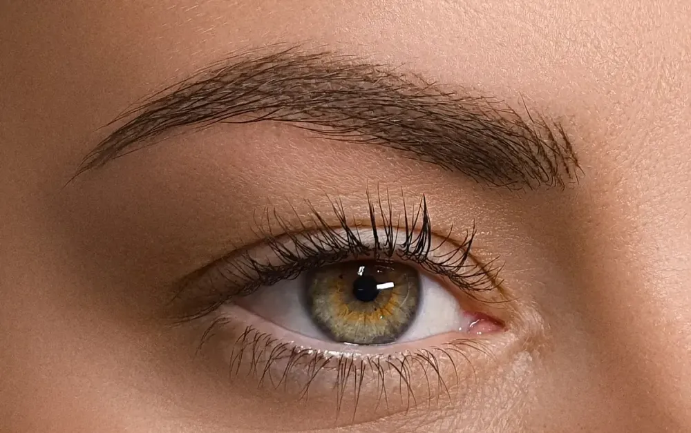 Un primer plano del ojo de una mujer con rímel y cejas.
