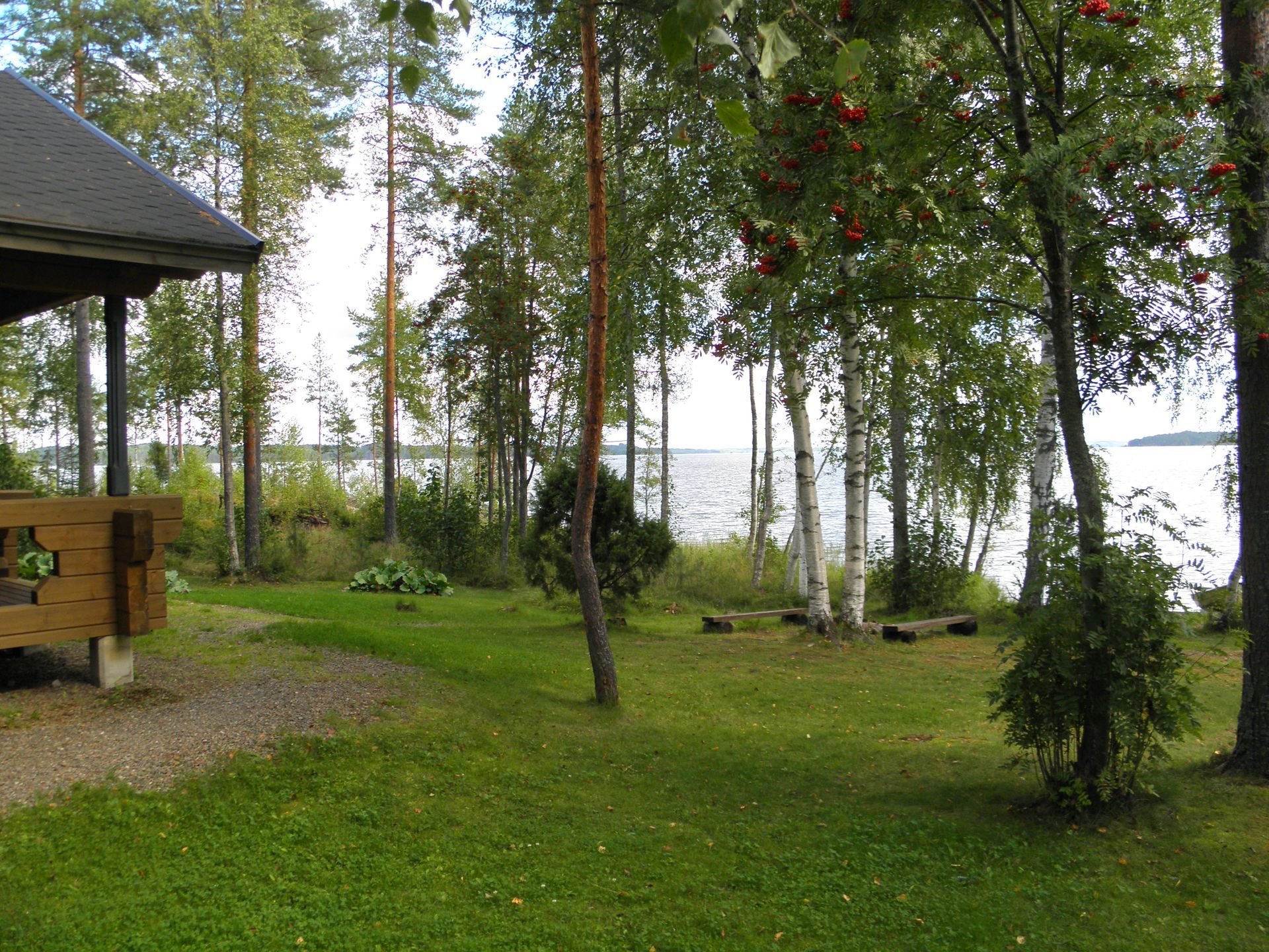 Hämäläinen Antti
