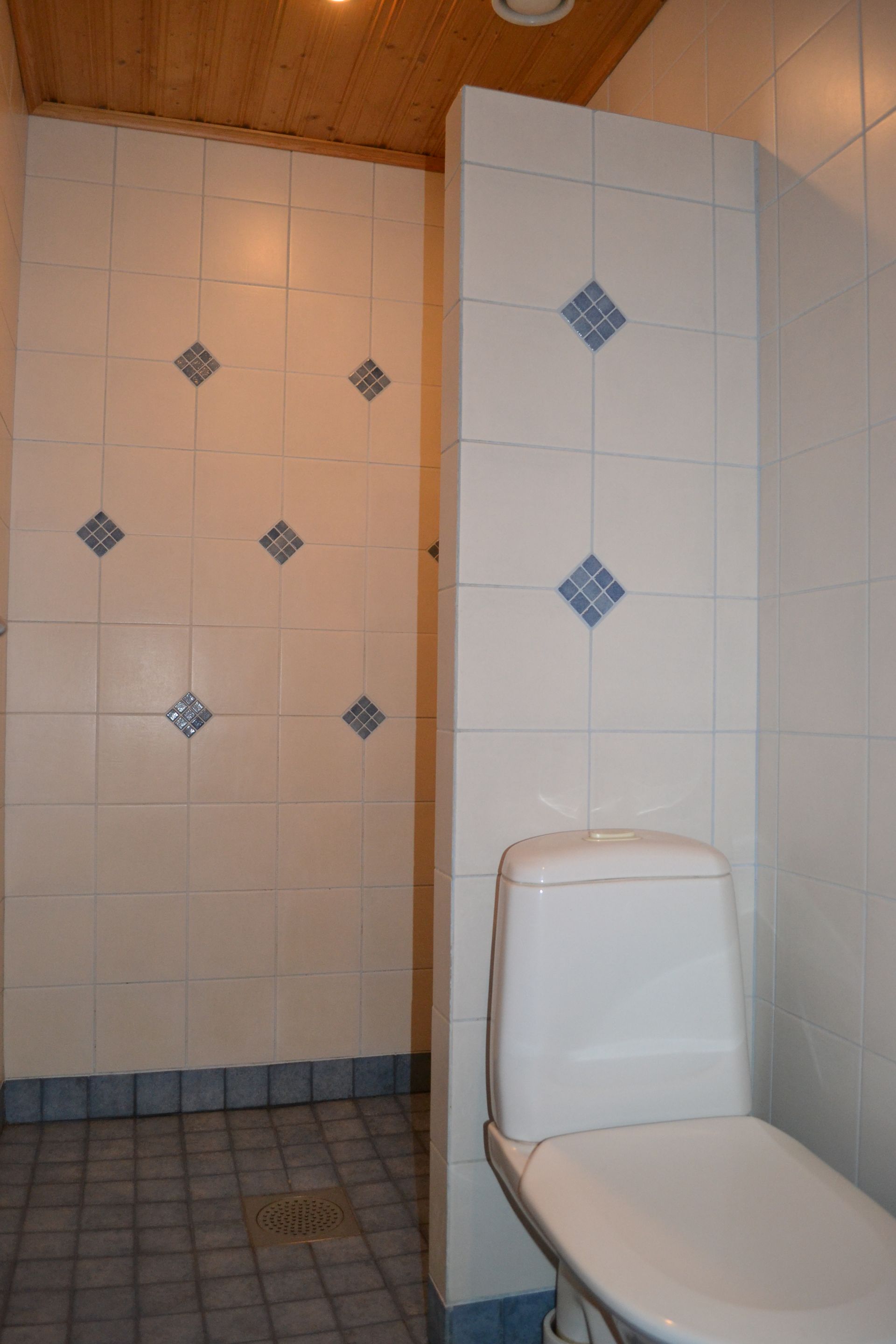 Hämäläinen Antti