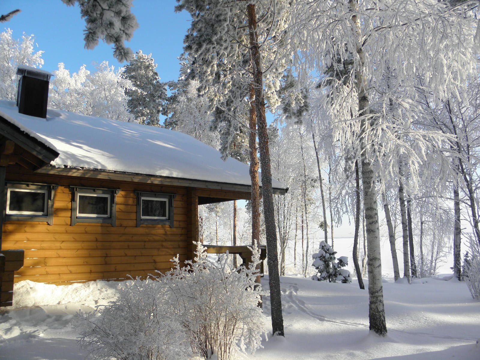 Hämäläinen Antti