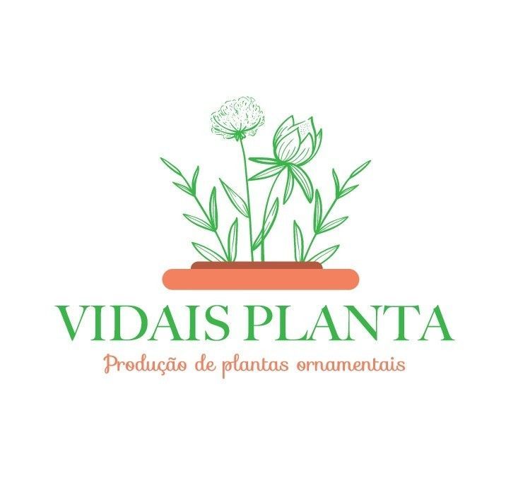 Logo: Green text "VIDAIS PLANTA"
