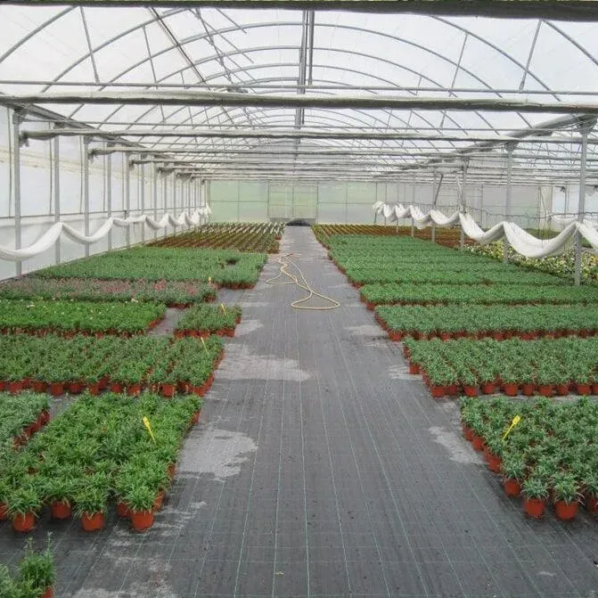 Pessoa regando uma planta verde com uma mangueira ao ar livre em um dia ensolarado.