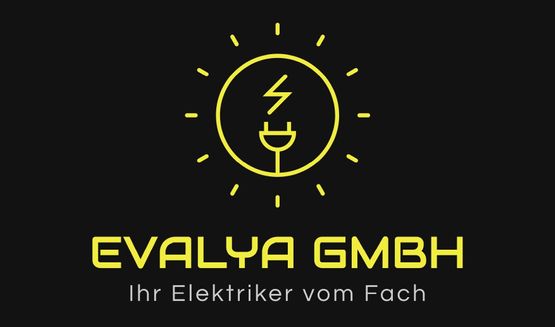Elektronik - Evalya GmbH - Reinach BL