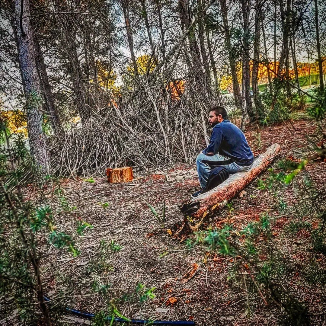 Un hombre está sentado en un tronco en el bosque. Te ayudamos a gestionar tu riesgo financiero