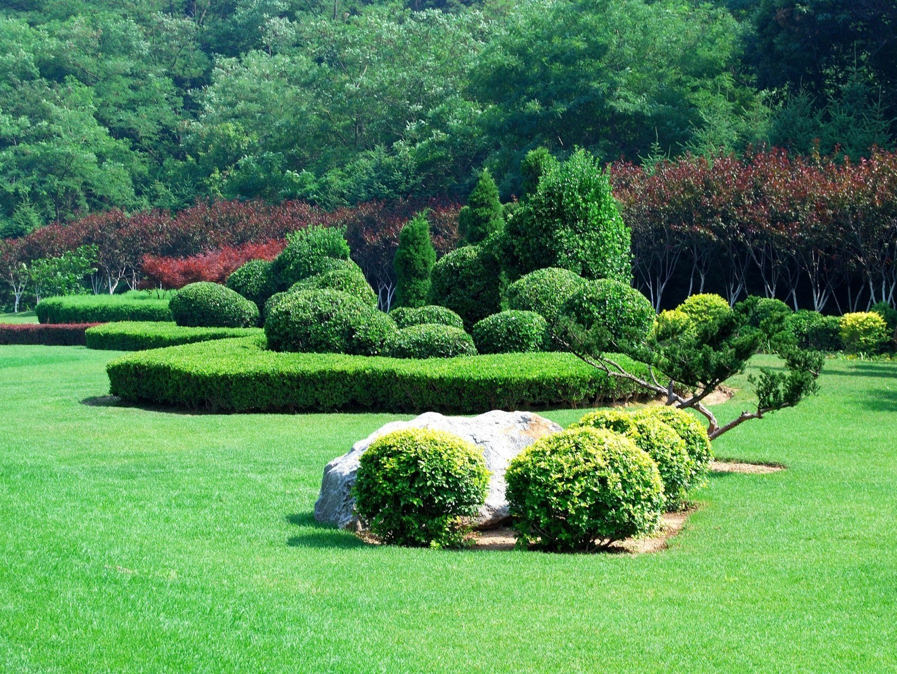 Désherbage de parc