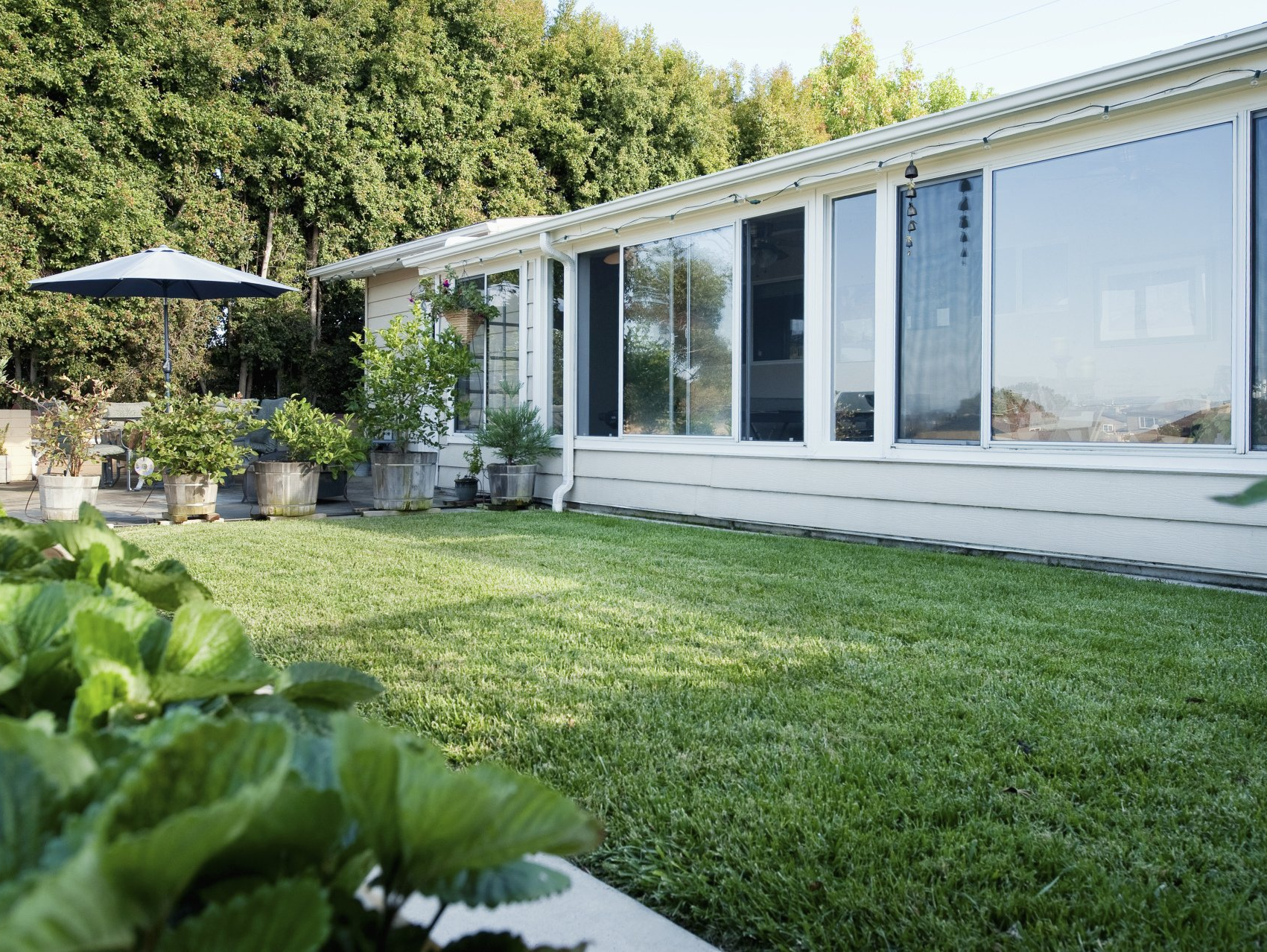 Gazon jardin