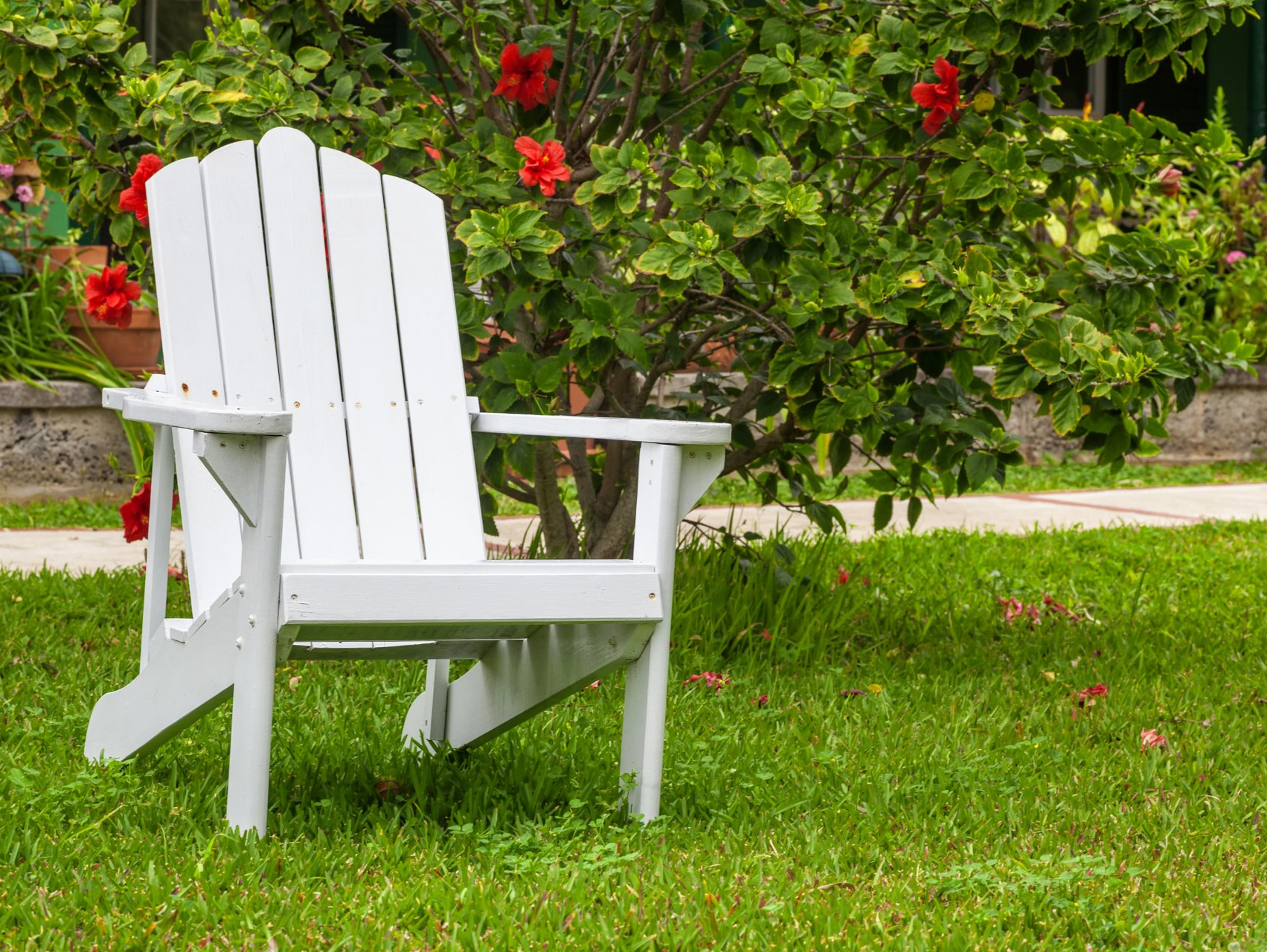 Pelouse de jardin