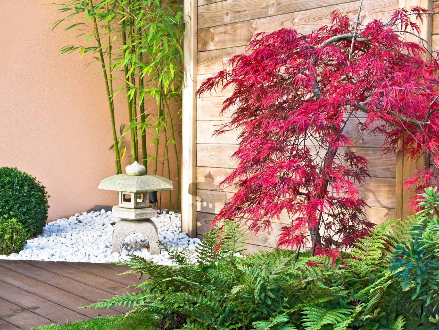 Terrasse jardin
