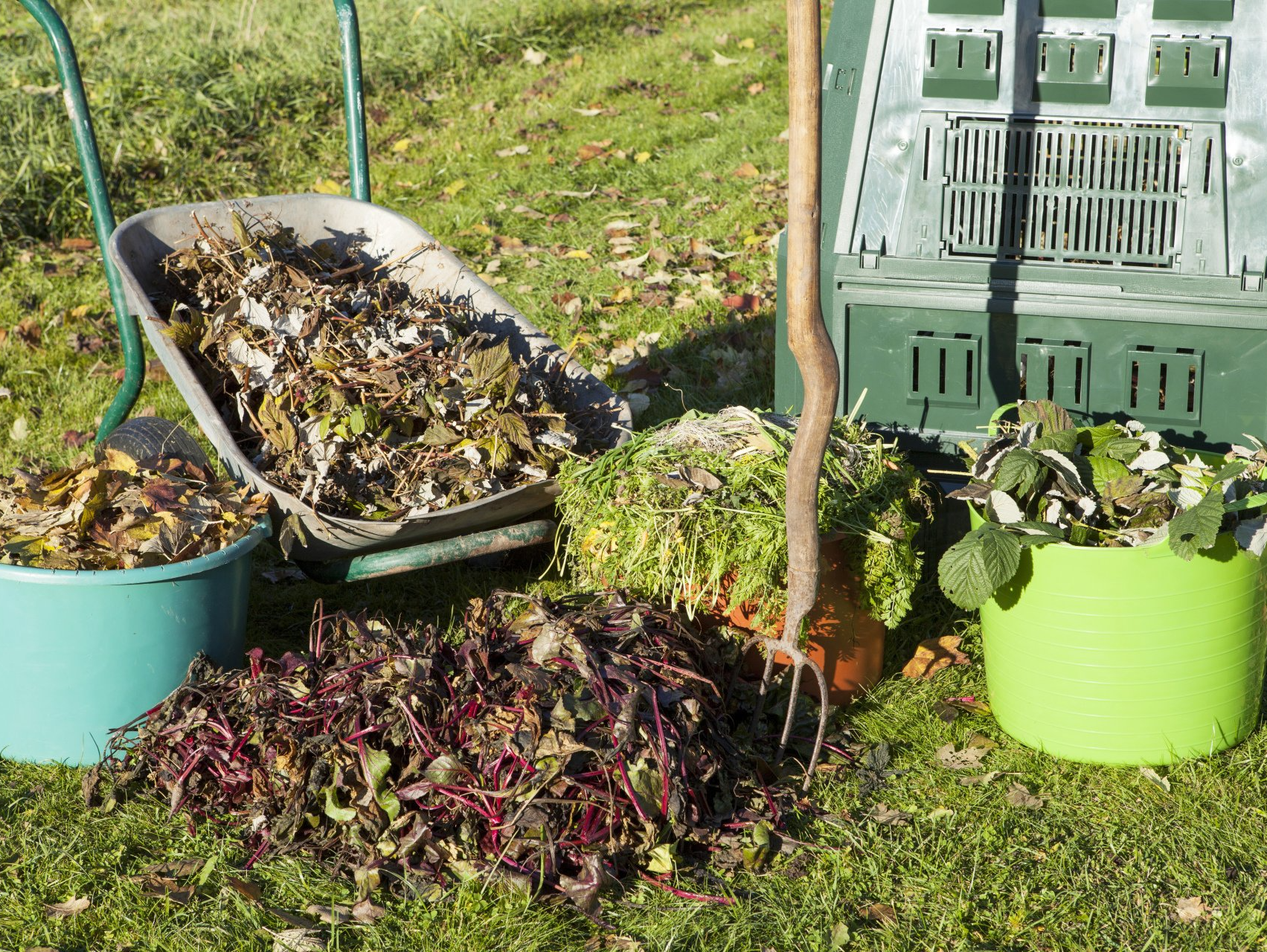 Ramassage feuilles