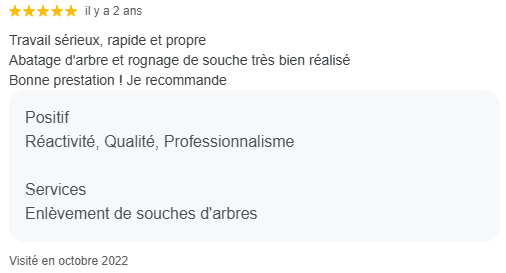 Capture d'écran avis Google : travail sérieux