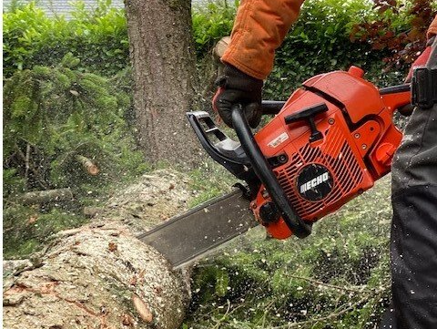Débroussaillage de forêt