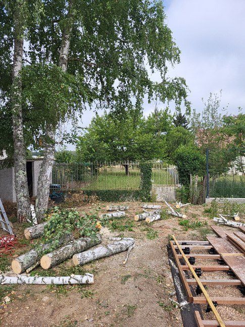 Troncs coupés sur un terrain vert