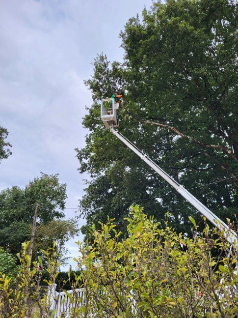 Nacelle électrique en hauteur avec un professionnel dedans