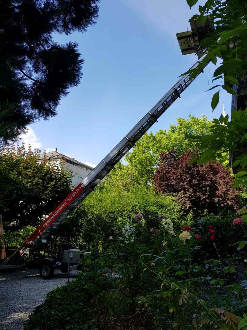 Une grande échelle se trouve au milieu d'un jardin.
