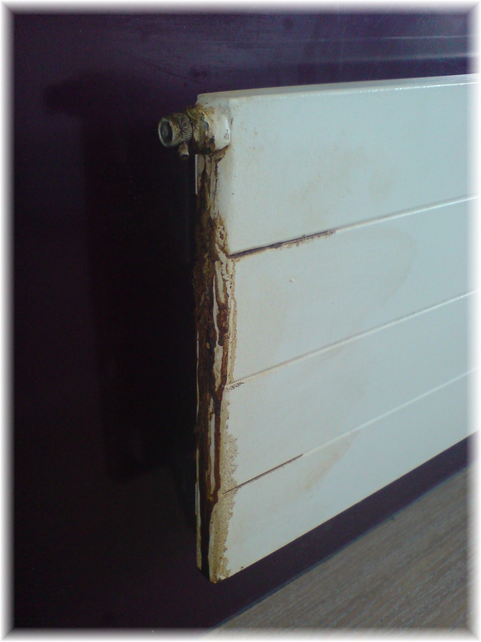 Radiateur purge Ebouage - Romisa S. Authouart