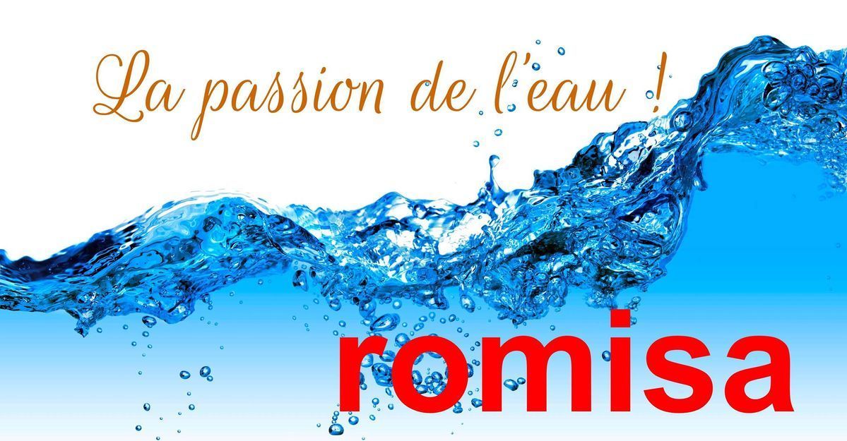 Logo - Romisa