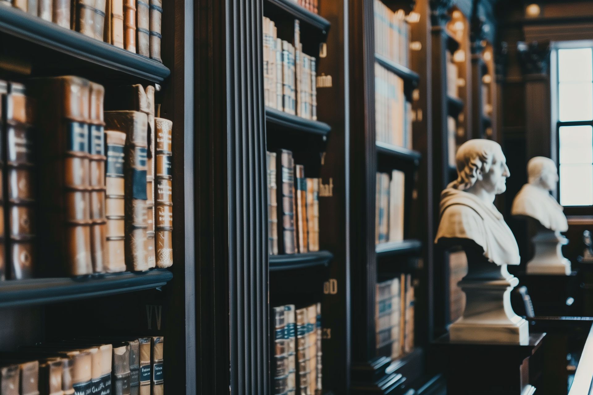 Bibliothèque contenant de vieux livres