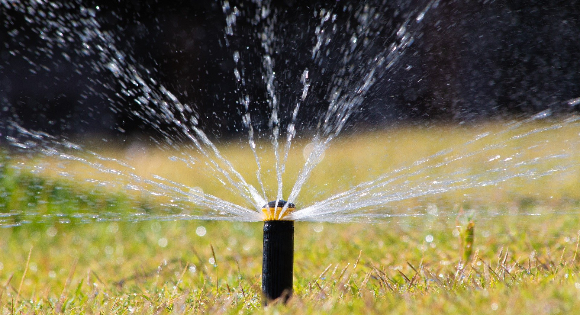 Paysagiste Installation d'arrosage automatique à Antony (92)