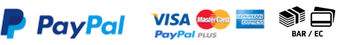 Logos für PayPal, Visa, Mastercard, American Express und BAR/EC-Kartenzahlungen.