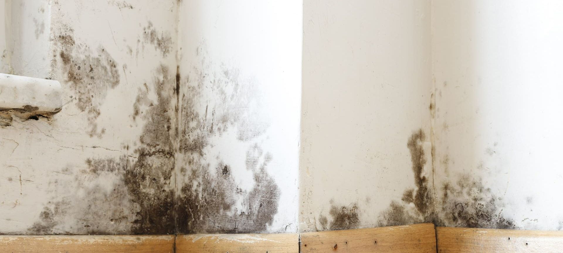 Un mur abîmé par un dégât des eaux