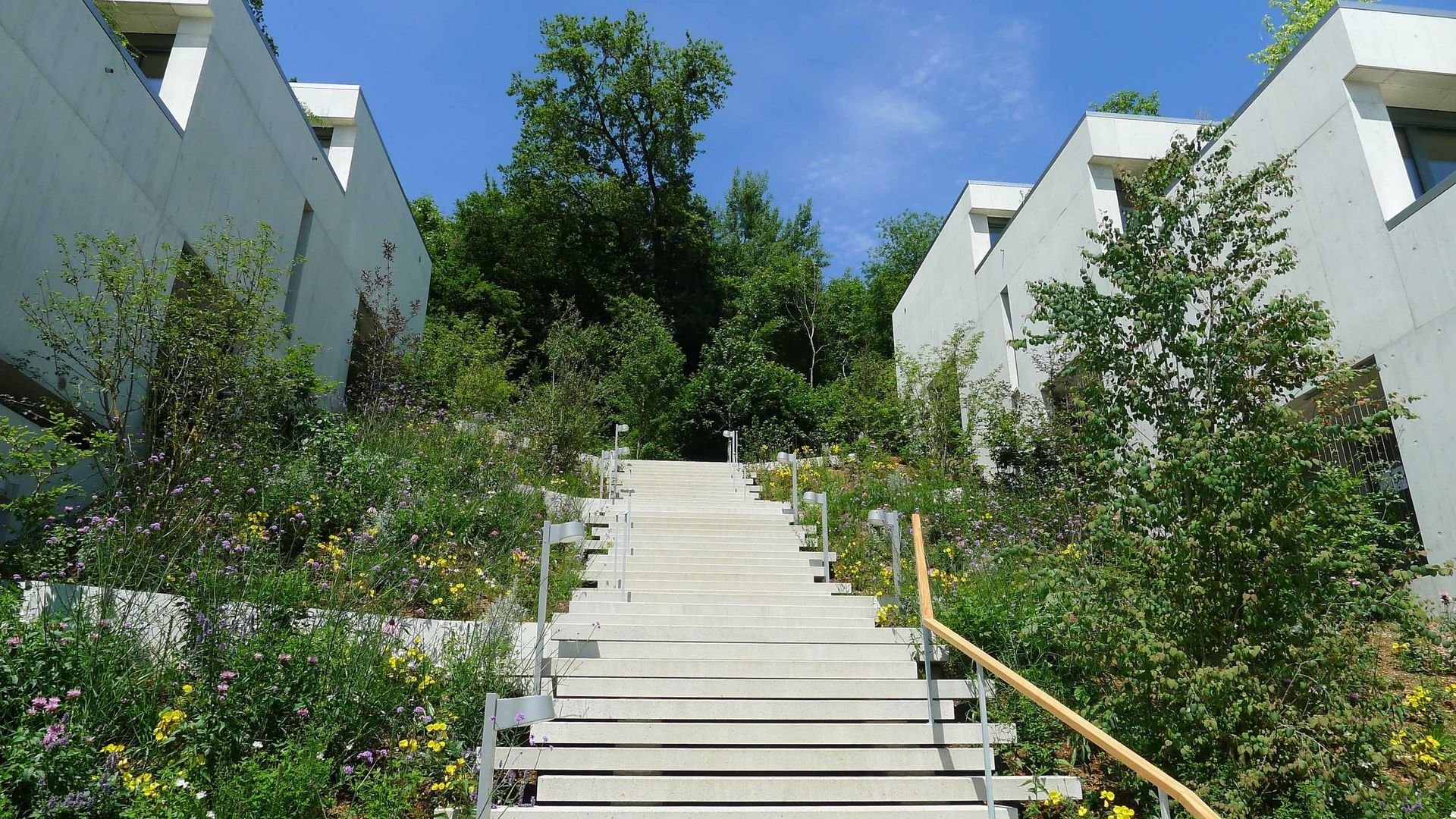 Blättler Architekten AG - Zürich | zürich