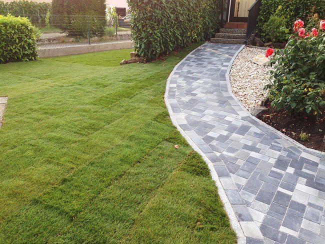 Gazon naturel posé aux côtés d'une allée privée pour piétons avec dallage en pierre pour un aménagement extérieur neuf