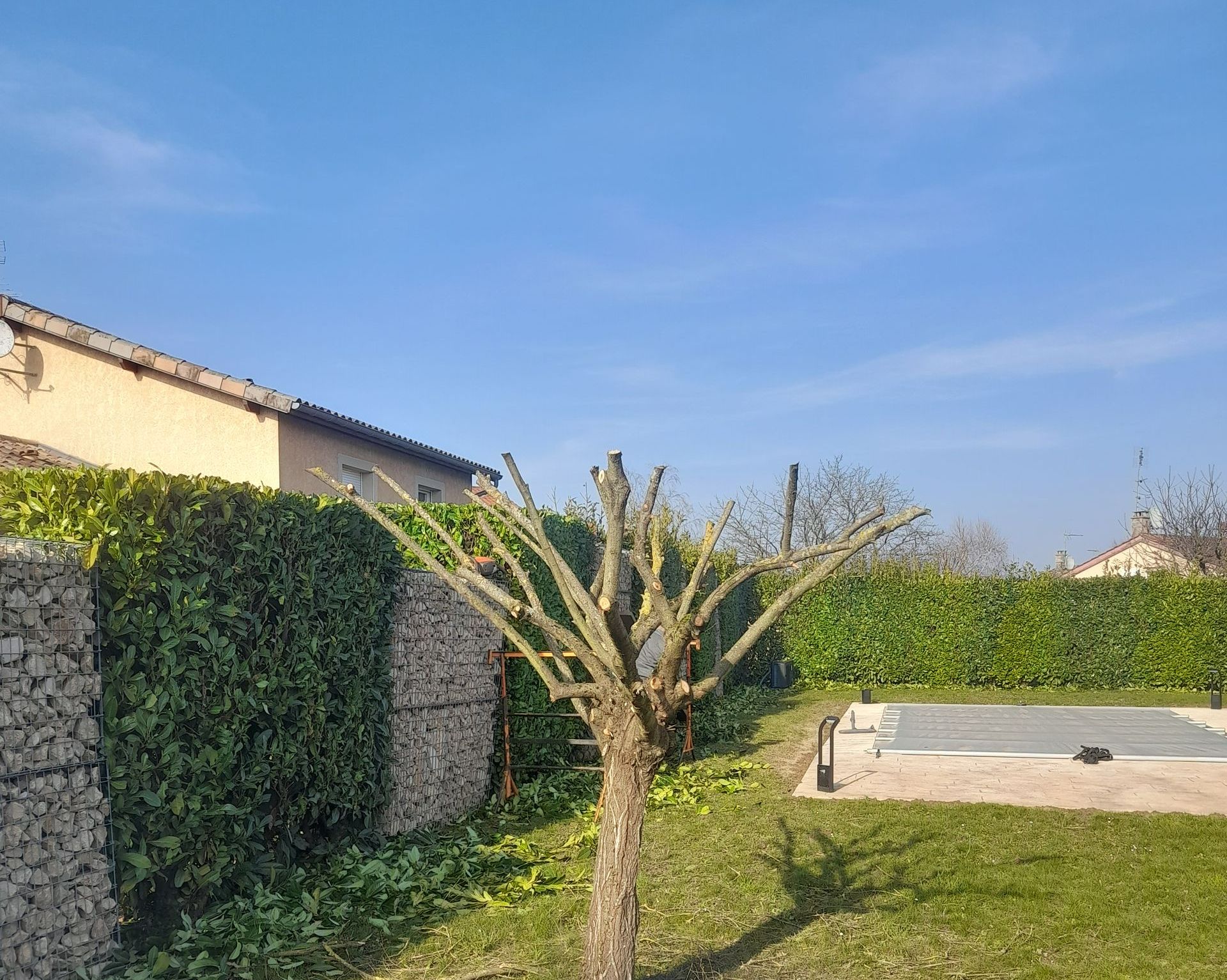 Taille d'un arbuste pour l'hiver