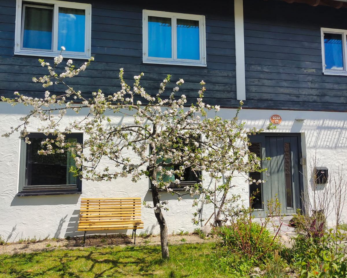 Außenansicht Haus Dürr23 mit blühendem Apfelbaum