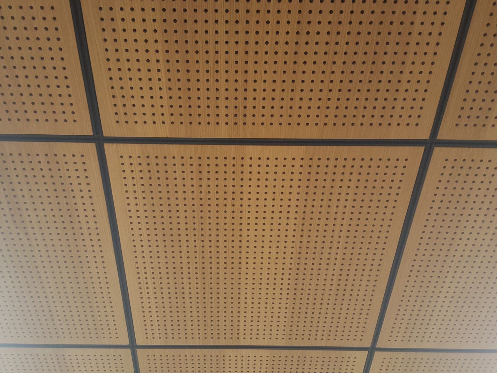 Dalles de plafond perforé avec lignes de grille foncées.