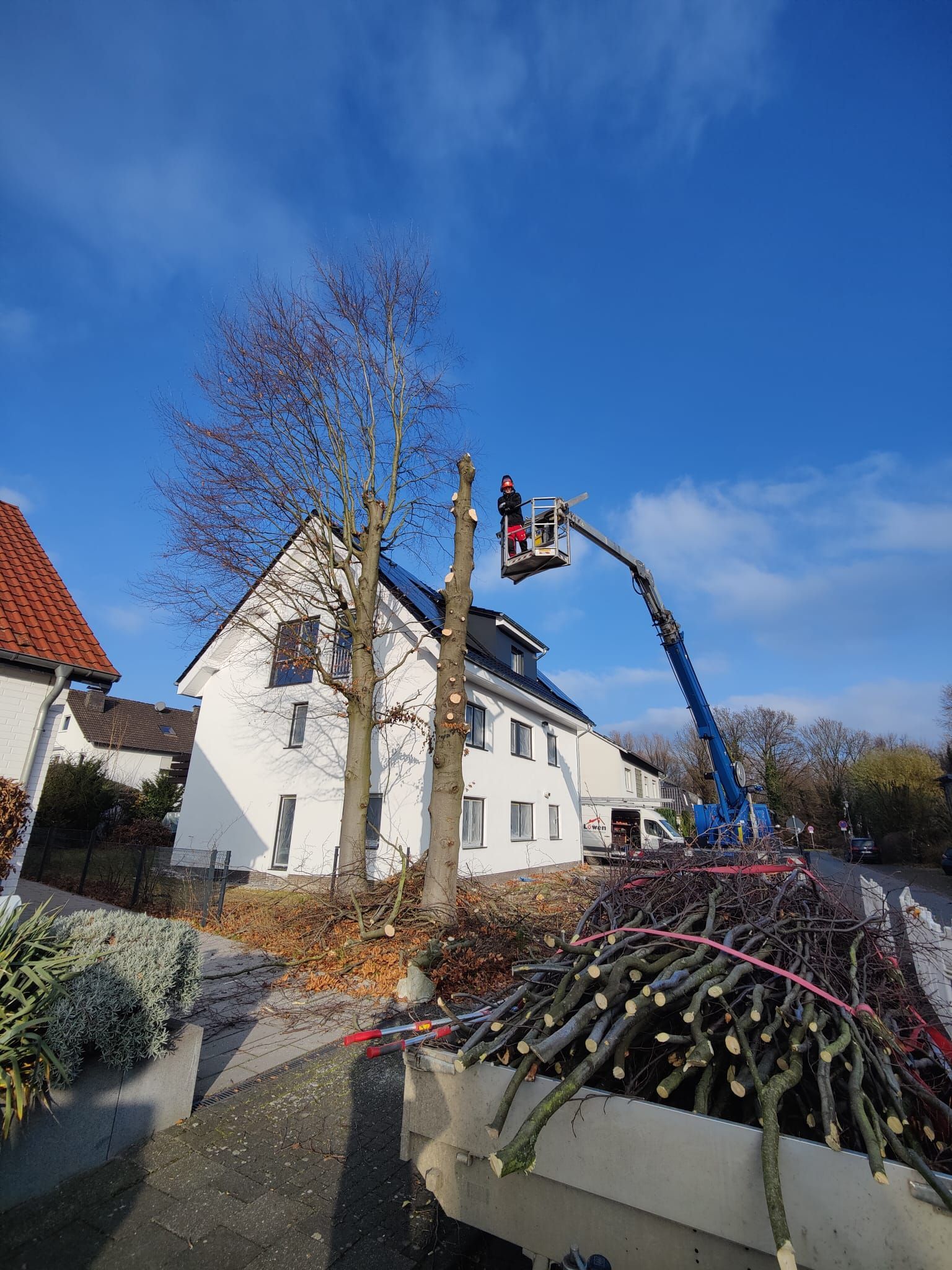 Ein Mann fällt mit einem Kran vor einem Haus einen Baum.