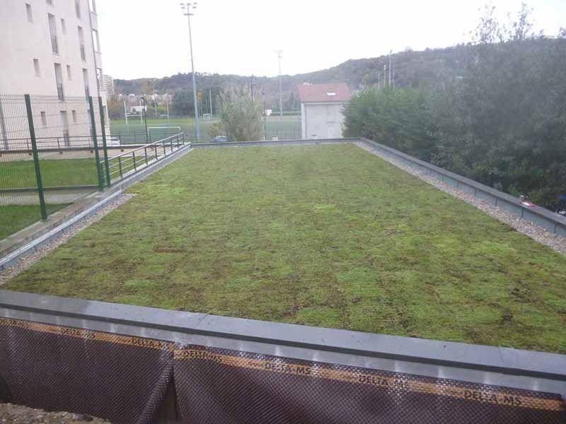 Vue d'ensemble d'une toiture végétalisée avec de l'herbe