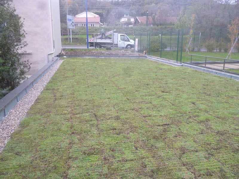 Toiture végétalisée avec de l'herbe