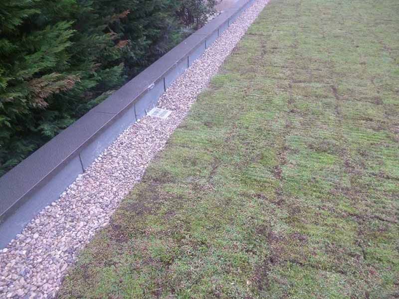 Rebord d'un toit végétalisé avec des graviers blancs