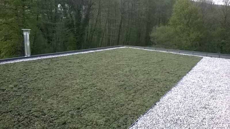 Toiture terrasse végétalisé avec bande stérile
