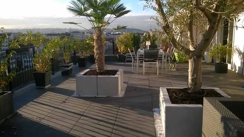 Toit terrasse avec des plantes et un salon de jardin