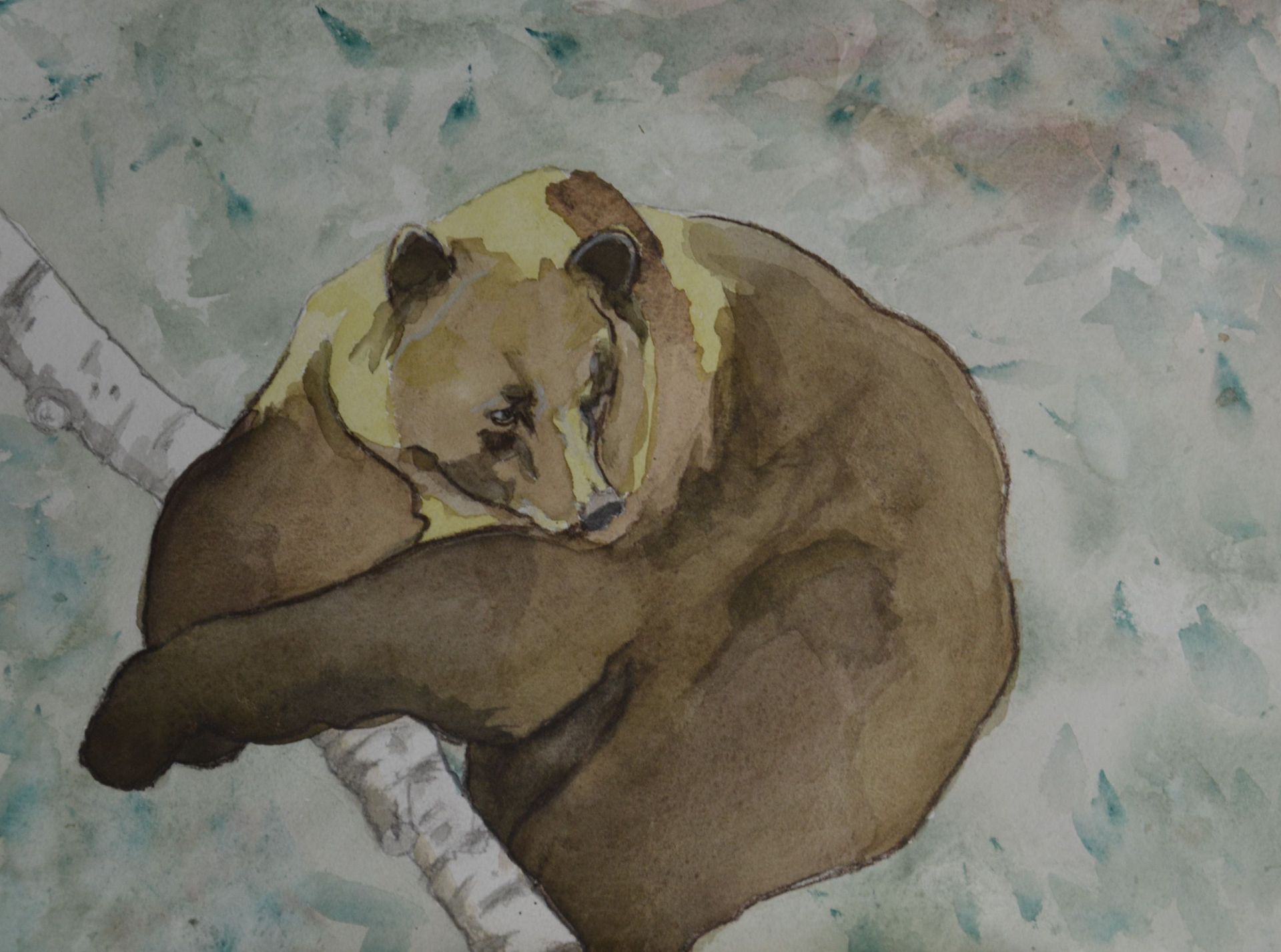 Christophe Bourdinaud