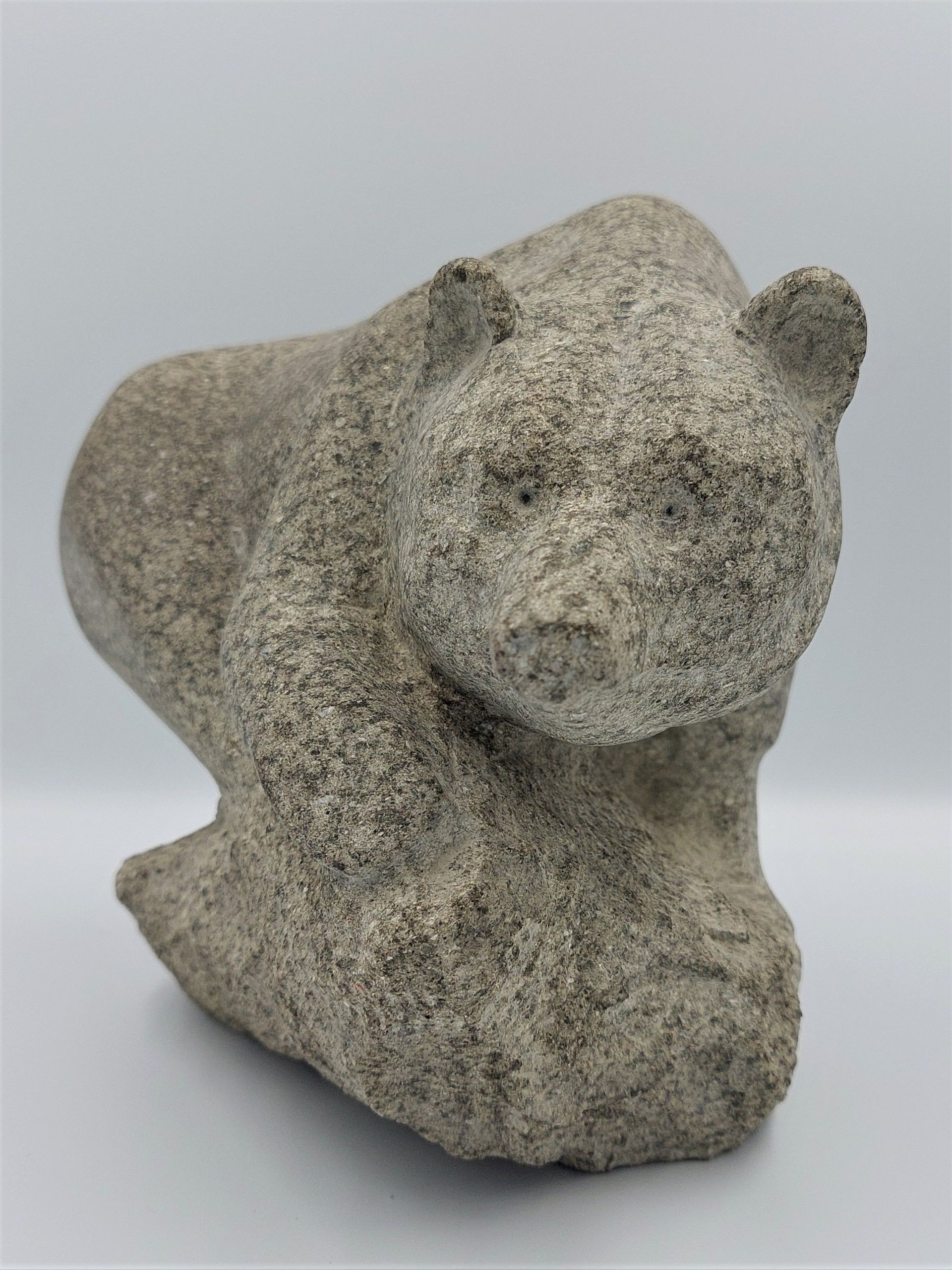 Ours. 2021. Grès de Taveyanne