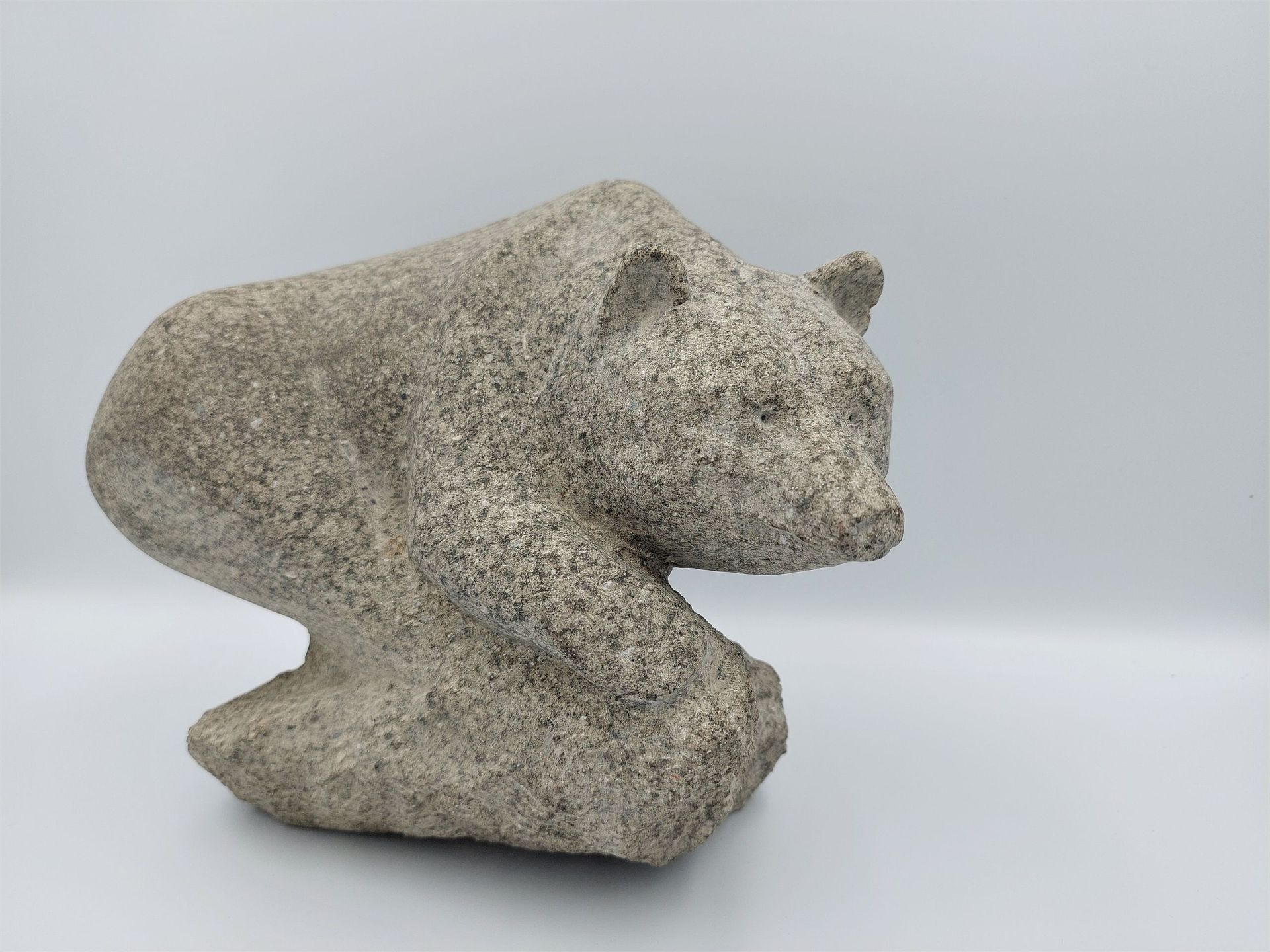 Ours. 2021. Grès de Taveyanne